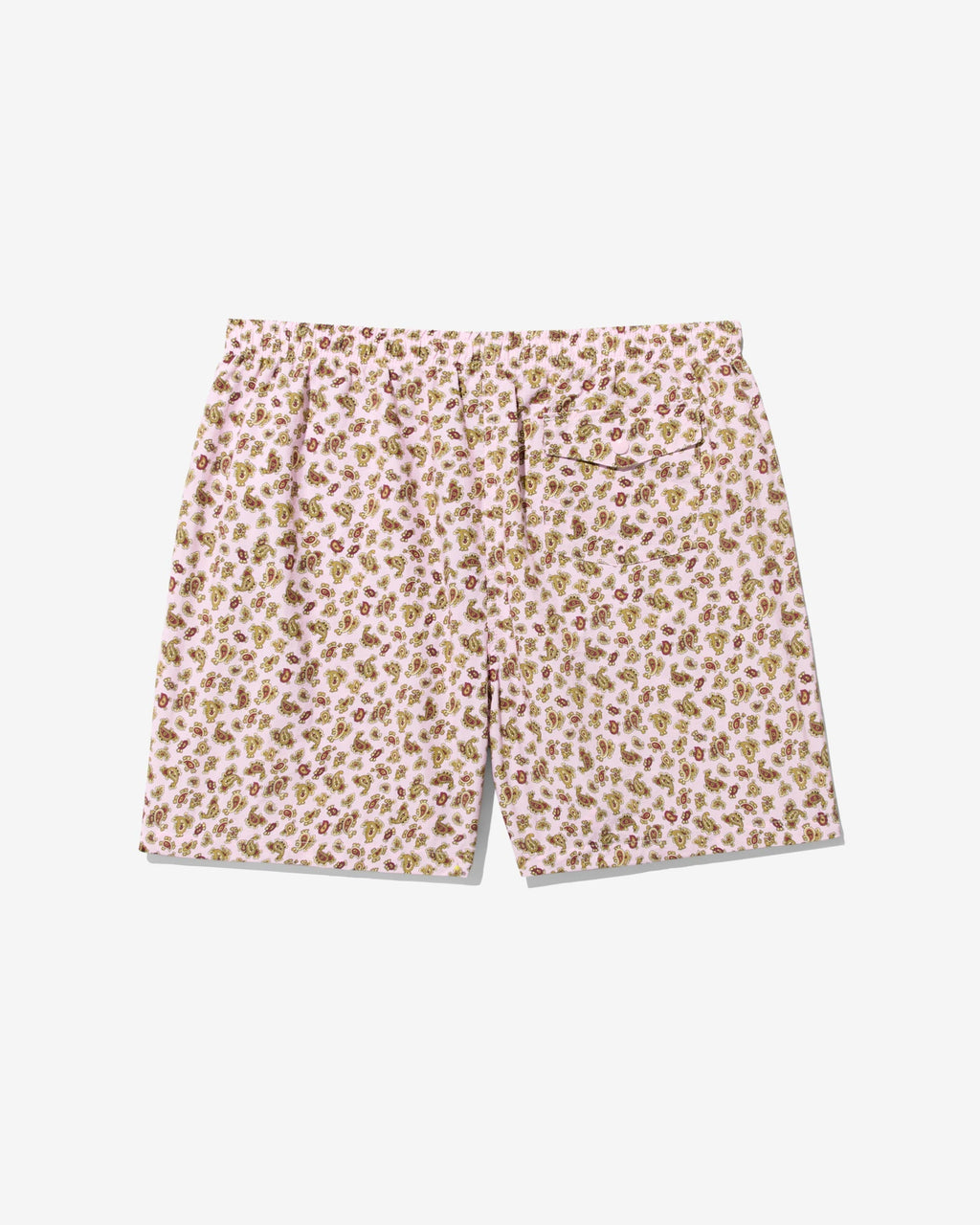 Paisley Swim Trunk