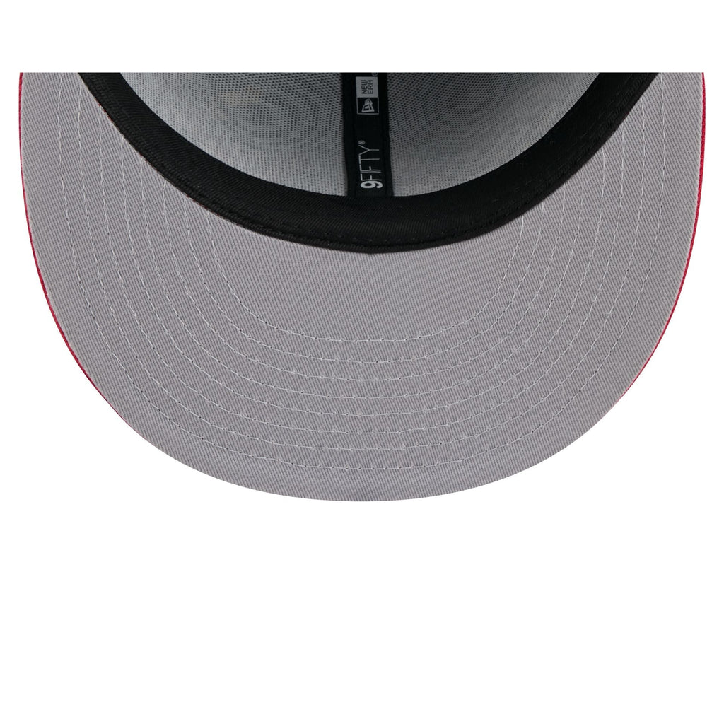 St. Louis Cardinals Generation Mascots 9FIFTY Snapback Hat