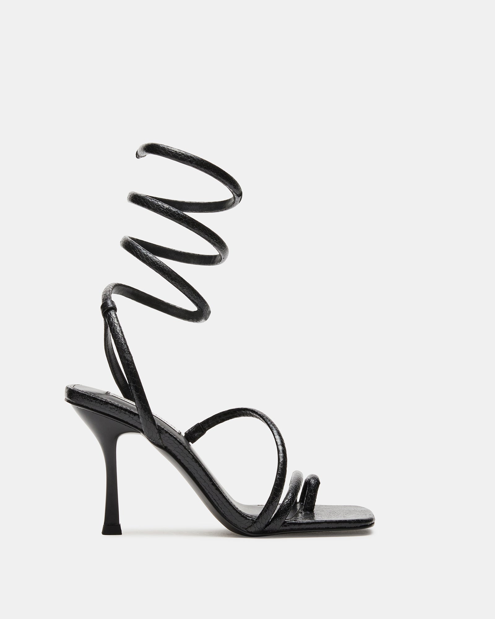 SHANTELLE BLACK - SM REBOOTED