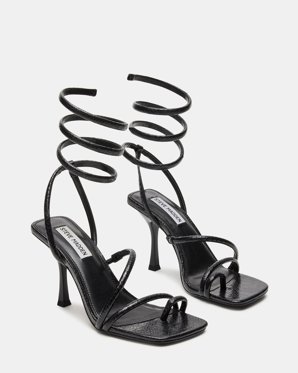 SHANTELLE BLACK - SM REBOOTED