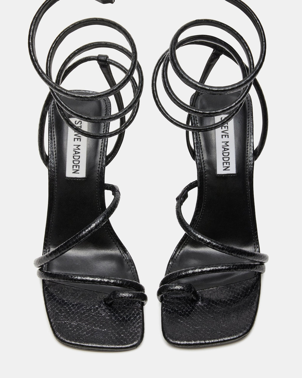 SHANTELLE BLACK - SM REBOOTED