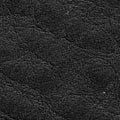 Badalassi Carlo Minerva Box Genuine Leather Watch Strap - Black