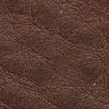 Badalassi Carlo Minerva Box Genuine Leather Watch Strap - Chocolate Brown