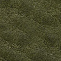 Badalassi Carlo Minerva Box Genuine Leather Watch Strap - Olive Green