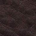 Badalassi Carlo Minerva Box Genuine Leather Watch Strap - Dark Brown