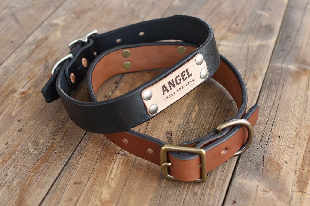 Dog Collar