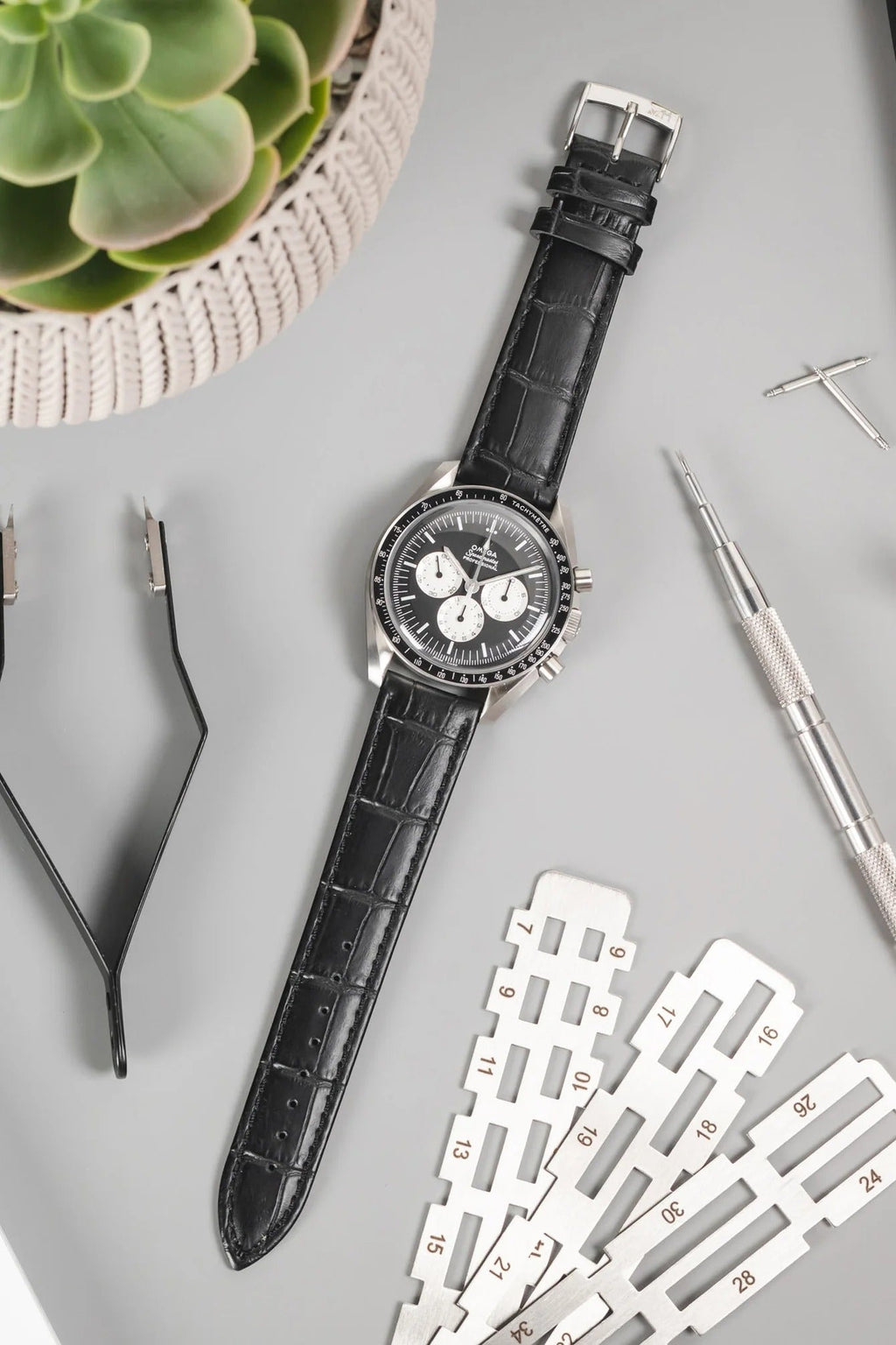 Morellato BOLLE Alligator-Embossed Calfskin Leather Watch Strap