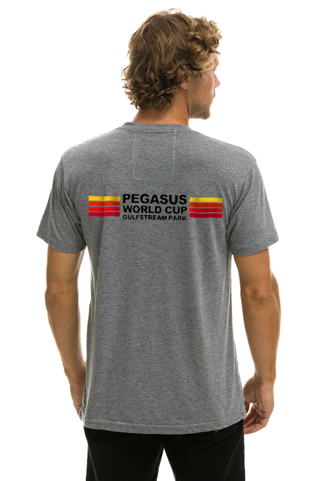 PEGASUS 2024 CREW TEE - HEATHER GREY